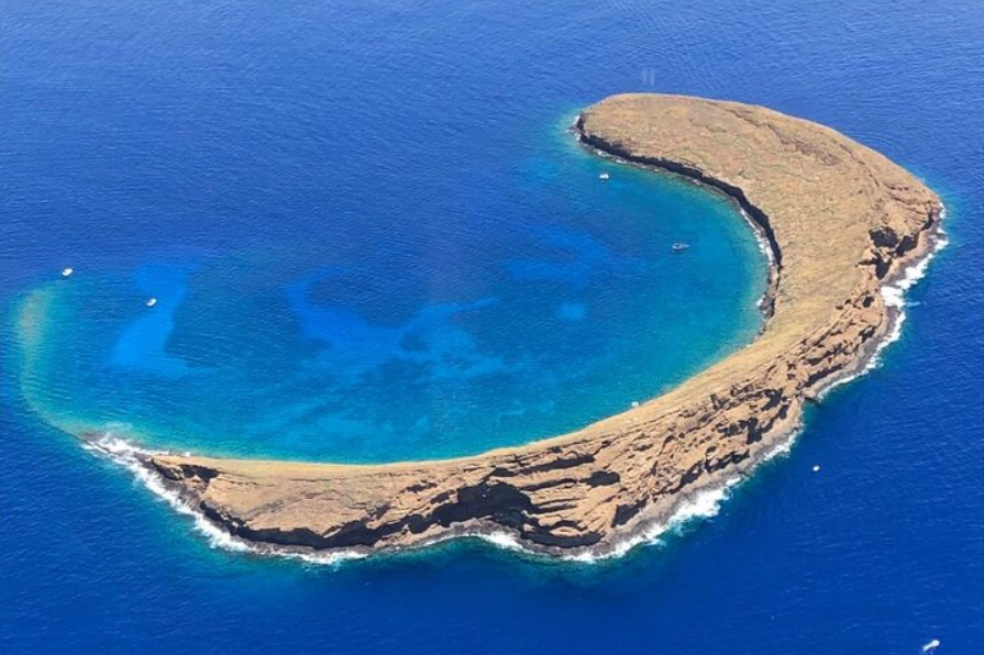 Molokini Crater and Turtle Town Snorkeling From Kihei