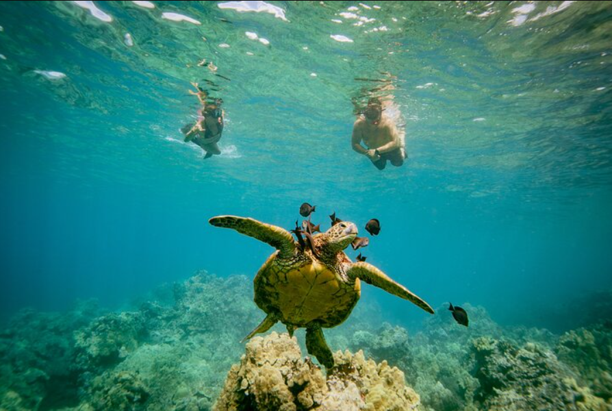 Molokini Crater Snorkeling